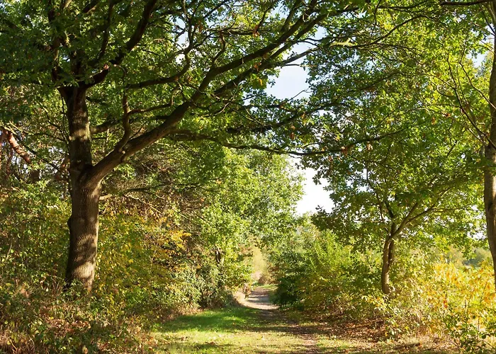Clara Vakantiehuis *